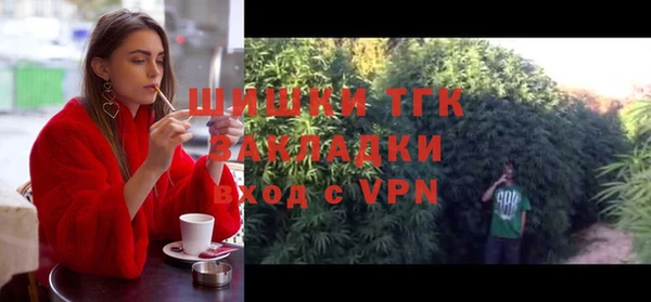 гашик Богородицк