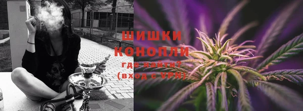 spice Богданович