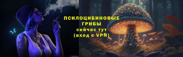 spice Богданович
